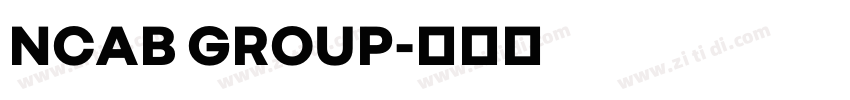 NCAB GROUP字体转换